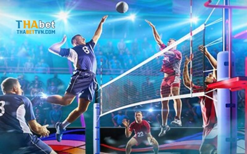 Cá cược Bóng chuyền