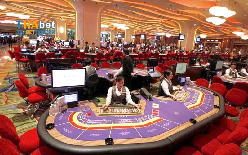 Live Casino