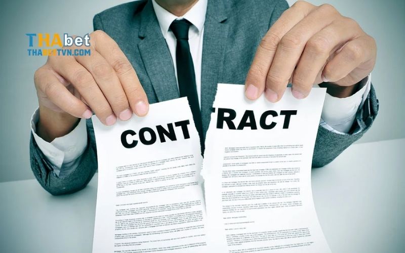 Miễn Trừ Trách Nhiệm ThaBet - Hiểu Rõ Để Chơi Cá Cược An Toàn 3 Miễn Trừ Trách Nhiệm ThaBet - Hiểu Rõ Để Chơi Cá Cược An Toàn
